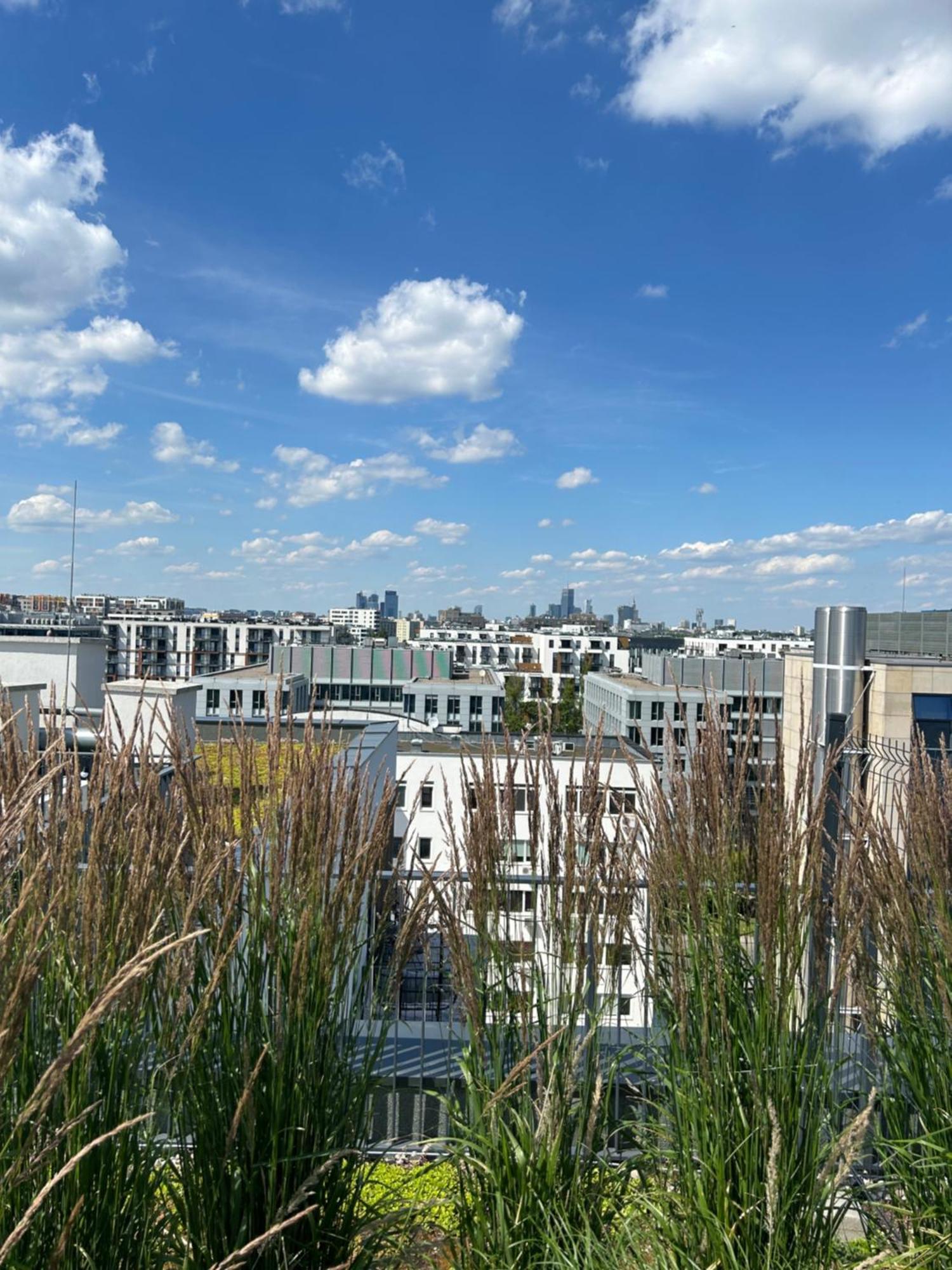Domaniewska Premium Apartament Apartment